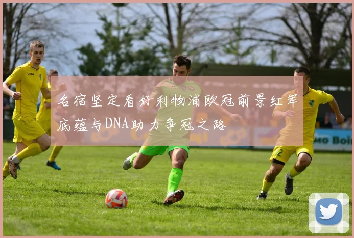 名宿坚定看好利物浦欧冠前景红军底蕴与DNA助力争冠之路