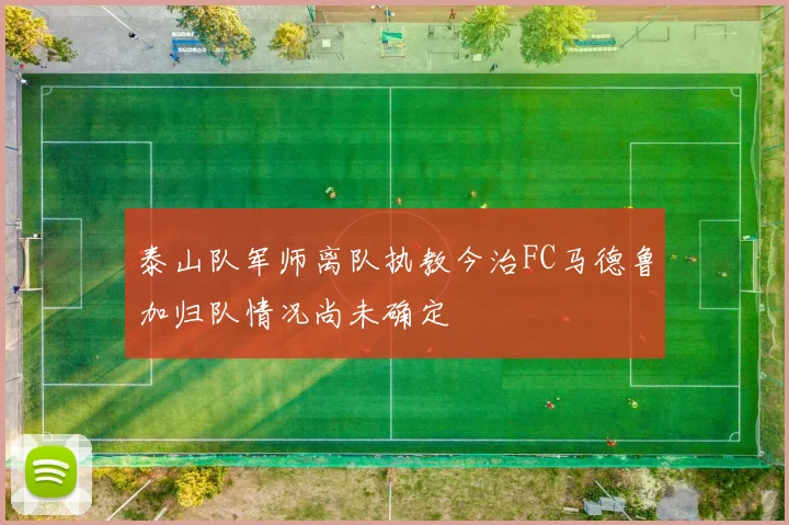 泰山队军师离队执教今治FC马德鲁加归队情况尚未确定