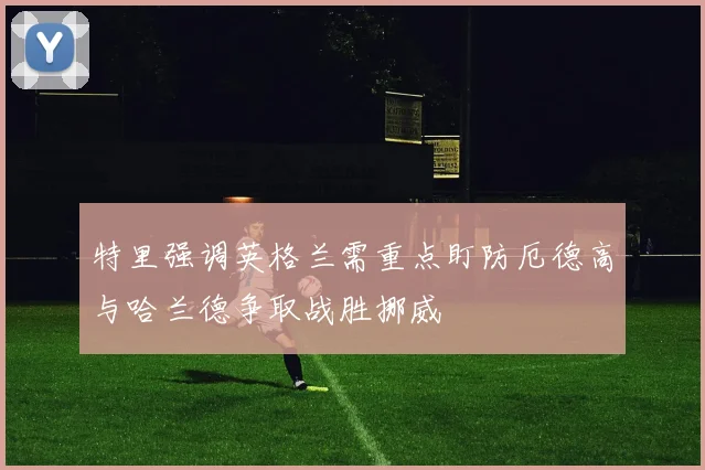 特里强调英格兰需重点盯防厄德高与哈兰德争取战胜挪威
